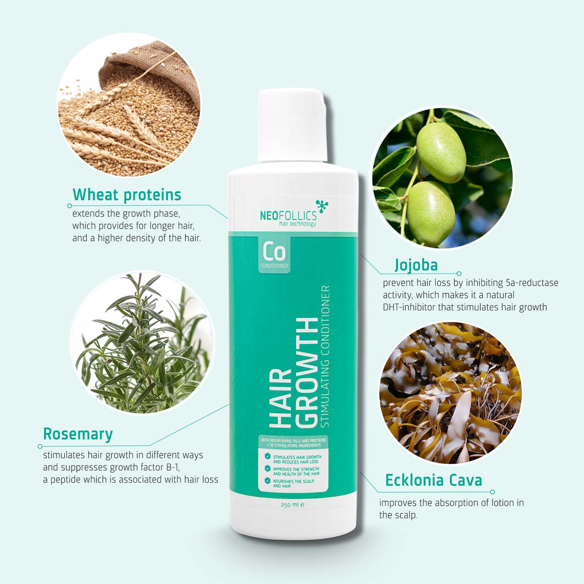 Treatment for Beautiful & Healthy Hair